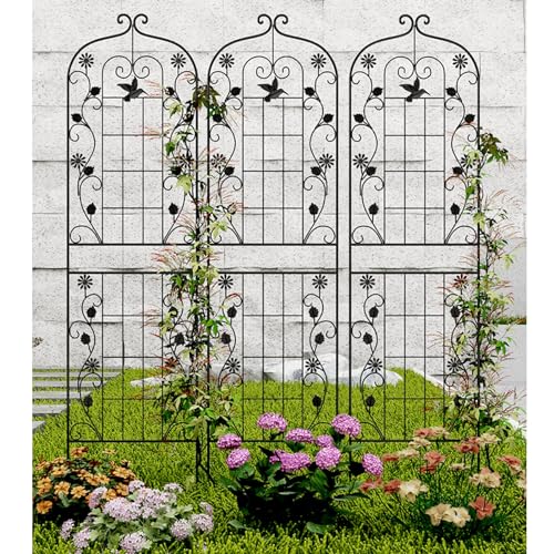 Czarna metalowa kratka ogrodowa o wysokości 210 x 50 cm rama nośna do roślin pnących na zewnątrz do kwiatów na zewnątrz, duża kratka do roślin pnących na trawniku i podwórku