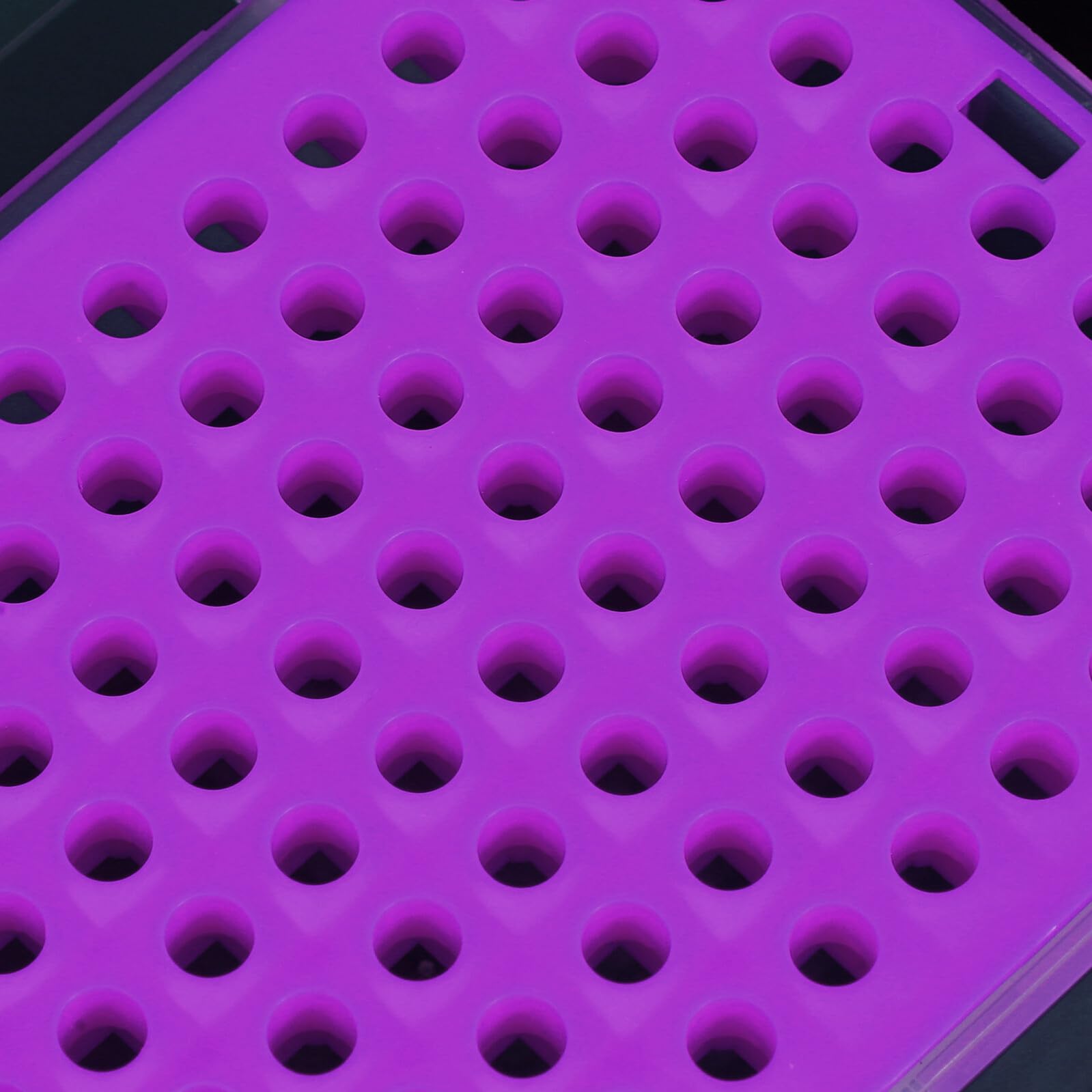Scatola Porta-Punte in Plastica per Pipette da Laboratorio con Coperchio, Contenitore per Provette da Microcentrifuga, Organizer per Conservazione e Stoccaggio in Campo