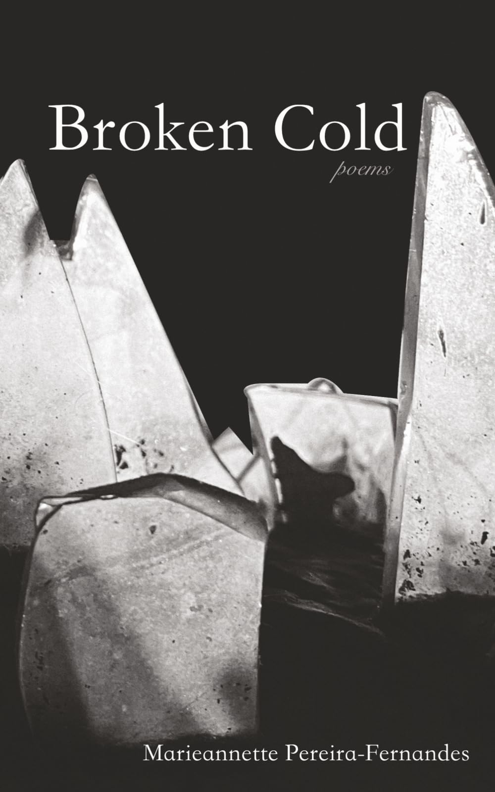 Broken Cold: Poems