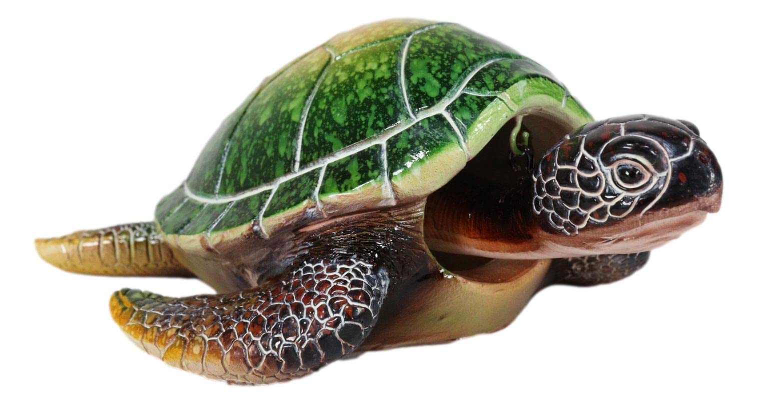 Calma Store 38灯 鼈甲柄 Skelton Tortoise Calma Store 38灯 鼈甲柄 Skelton Tortoise CALMA STORE 38kt