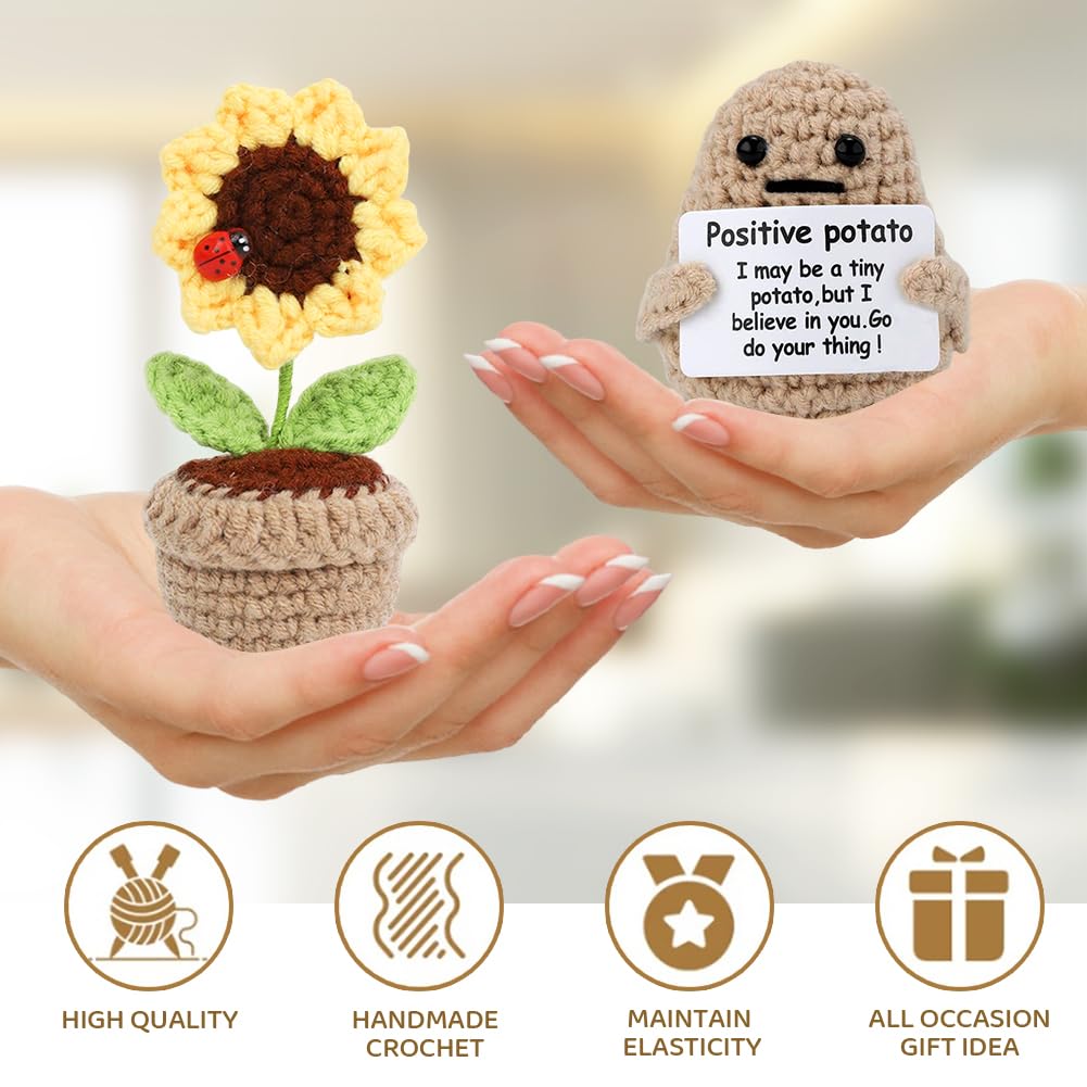 View 4