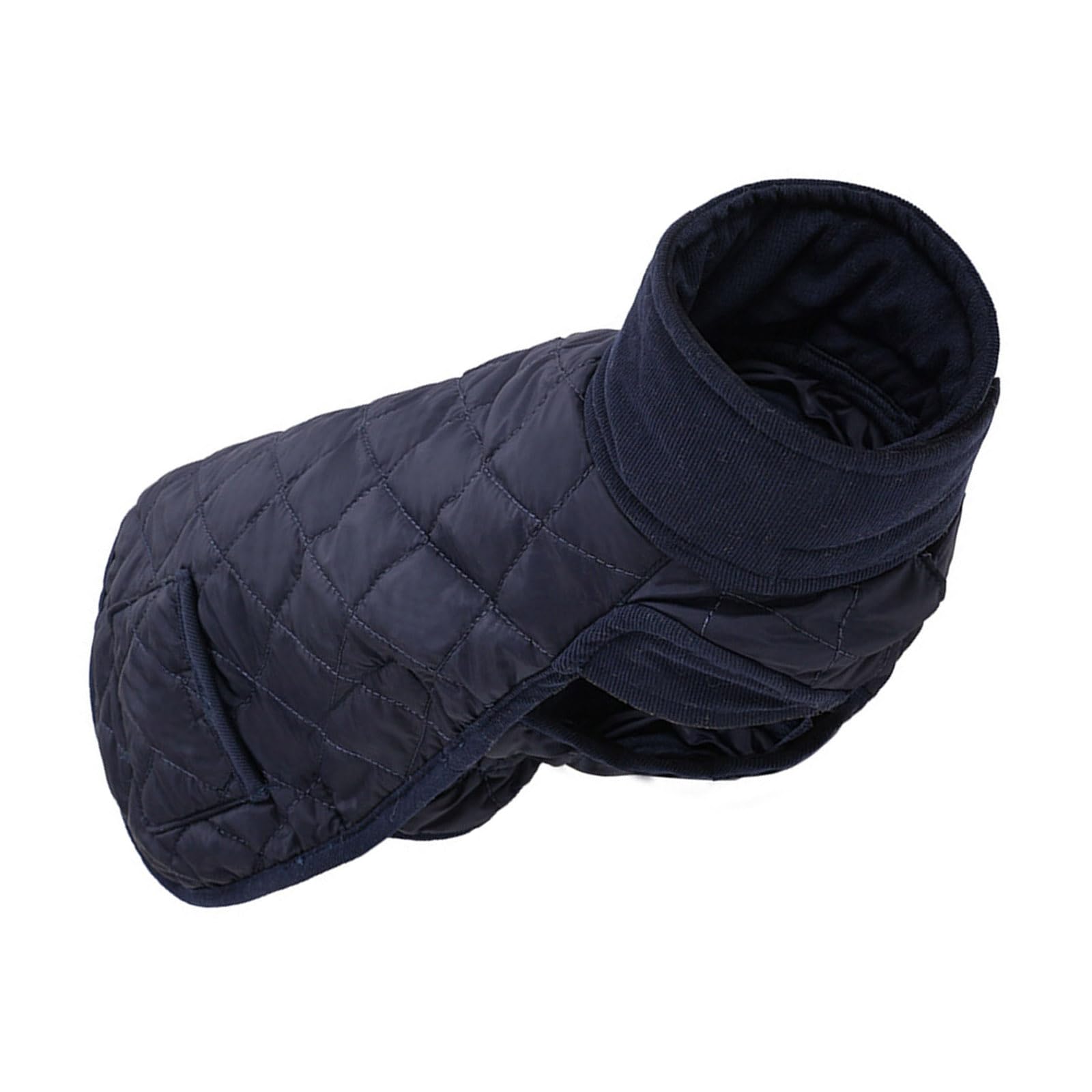 Manteau d'hiver pour chien avec couche thermique pour le bien-être extérieur