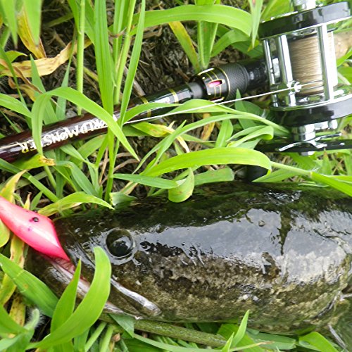 アブガルシア(Abu Garcia) バスロッド ワールドモンスター WMCC-652M MGS 11枚目