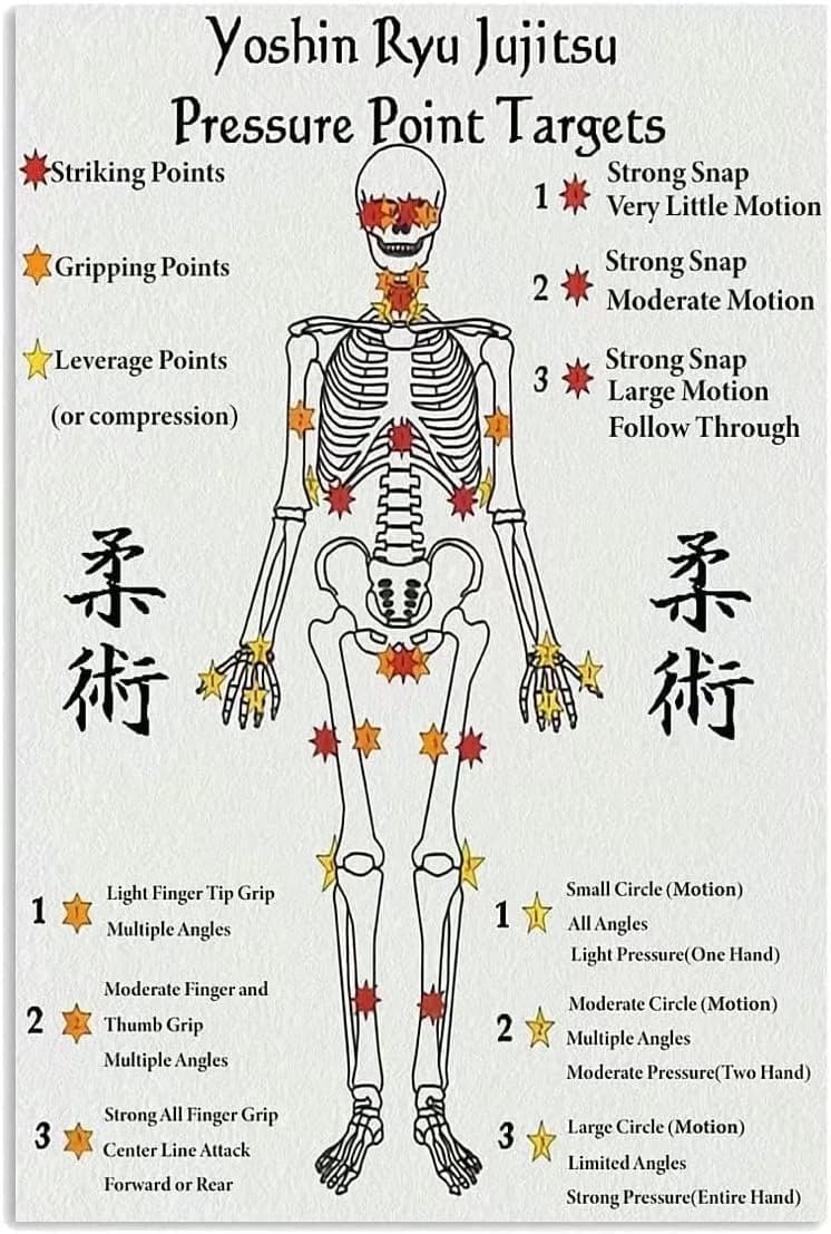 Yoshin Ryu Jujitsu Pressure Point Metal Signs Targets Knowledge Poster Popular Garden Self Defense Information Table Bar Garage Club Prints 8x12 Inches