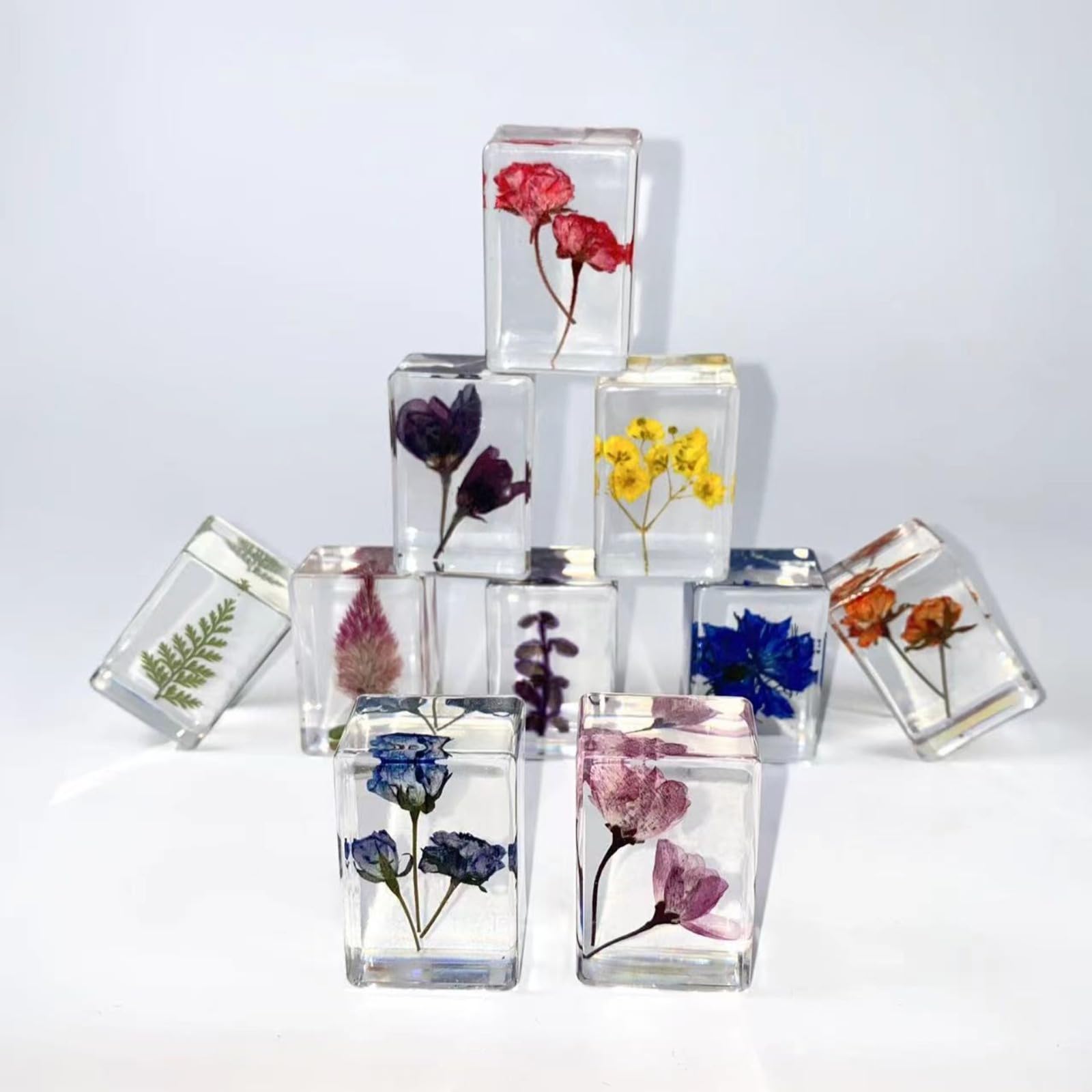 12 Stück Blume in Harz Exemplare gepresste Blume Briefbeschwerer Blume aus Harz Exemplare Sammlung für Schreibtisch echte Blumen Proben Papiergewichte für Kinder wissenschaftliche pädagogische