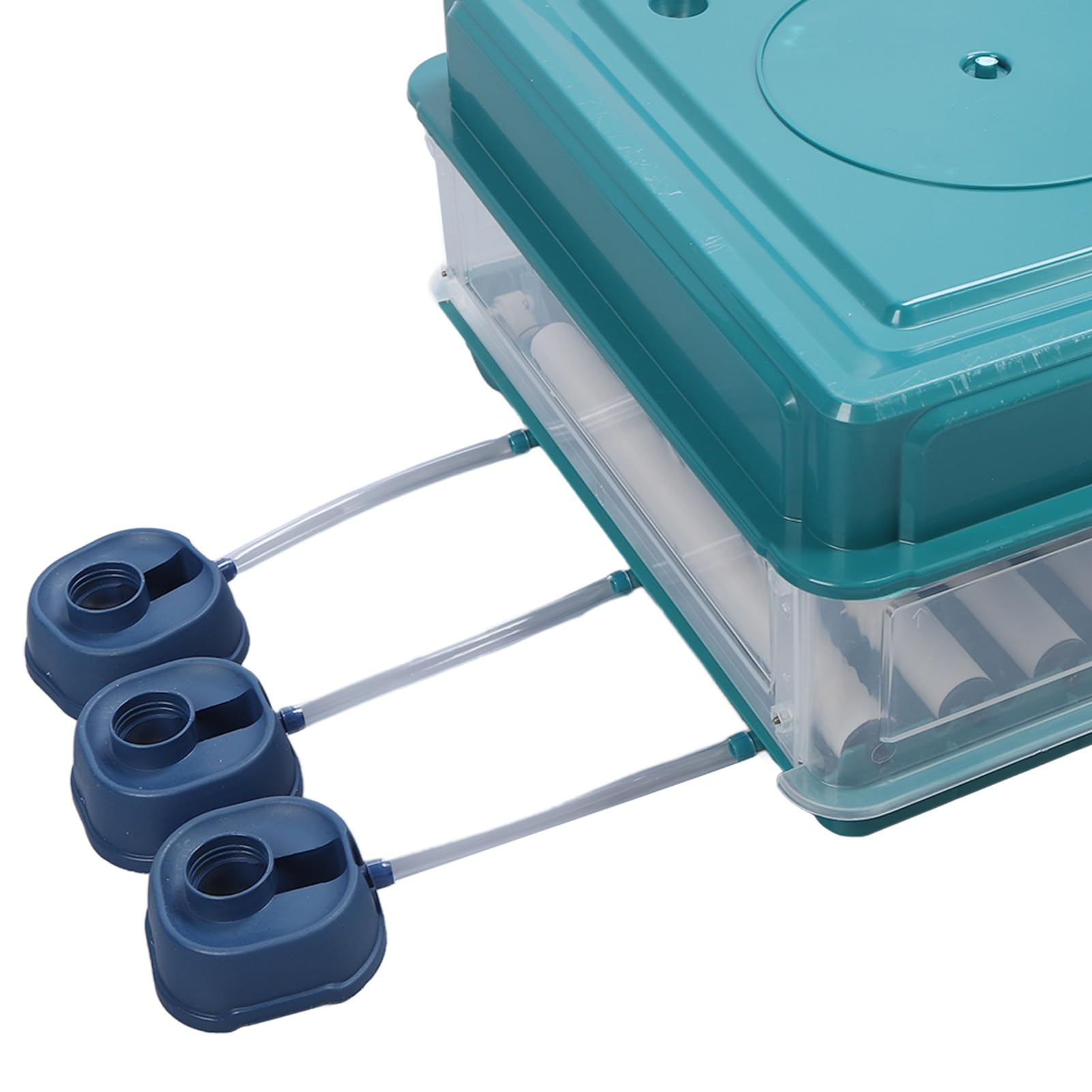Controlador de Incubadora de Huevos, Controlador de Temperatura de Incubadora de Fácil Observación, Luz LED con Giro Automático para Laboratorios (Enchufe europeo 220V 38 huevos)