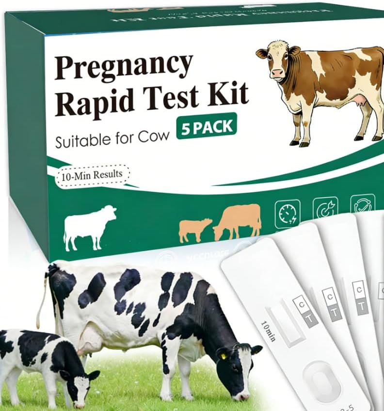 6-Pack Bovine Pregnancy Test Kit for Cows, Rapid Results in 5-20 Minutes, Works with Whole Blood, Serum & Plasma for Dairy & Beef Cattle