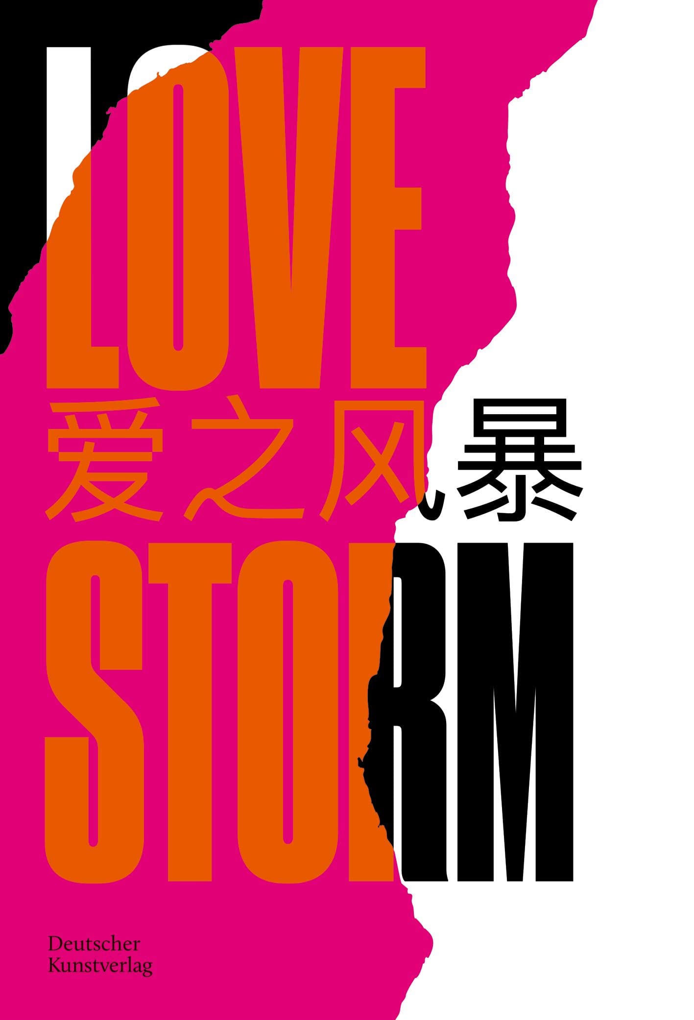 LOVE STORM: Ein interdisziplinares Kulturprojekt (German Edition)