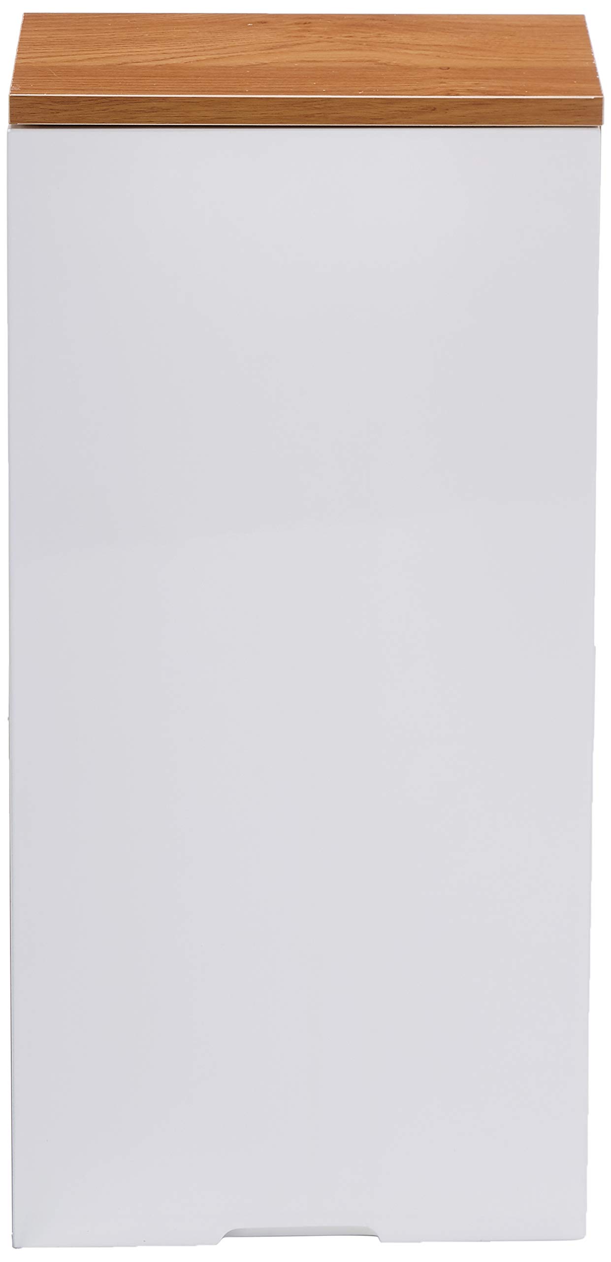 Premier Housewares 2403290 Armoire Murale avec 1 Porte Effet Chêne/Miroir