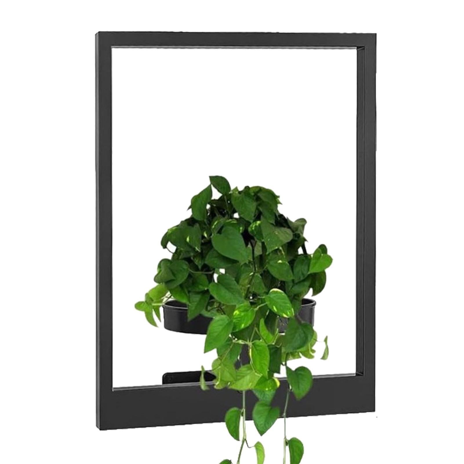 Amazon.com: Picture Frame Plant Holder, Picture Frame Wall Plant Holder ...