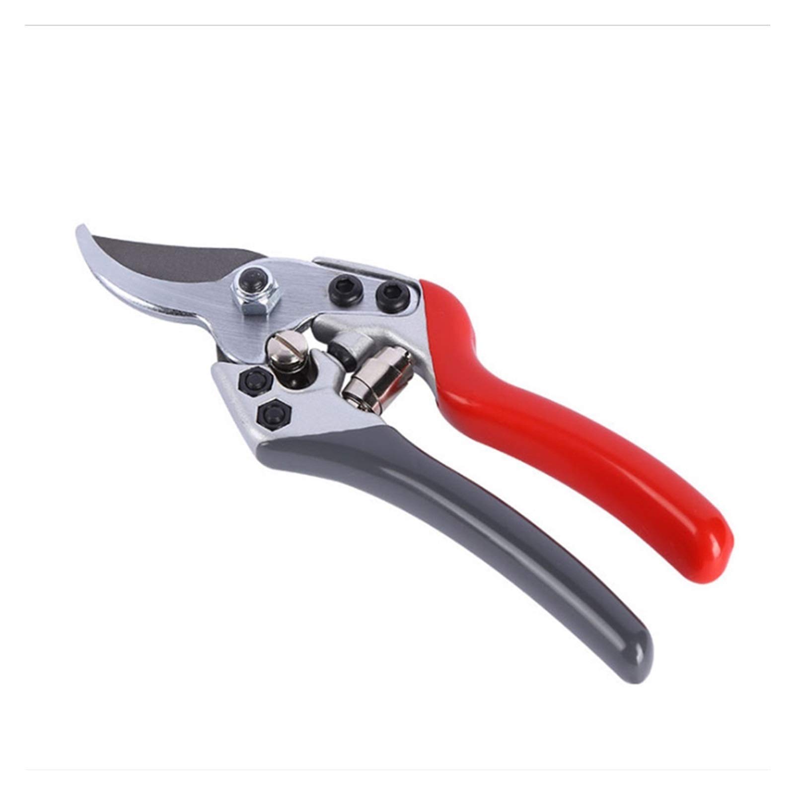 Snoeigereedschap ontrafeld: tools per snoeiklus