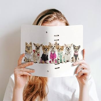 Apple - チワワページ チワワ｜ペット検索｜ペット大好き！