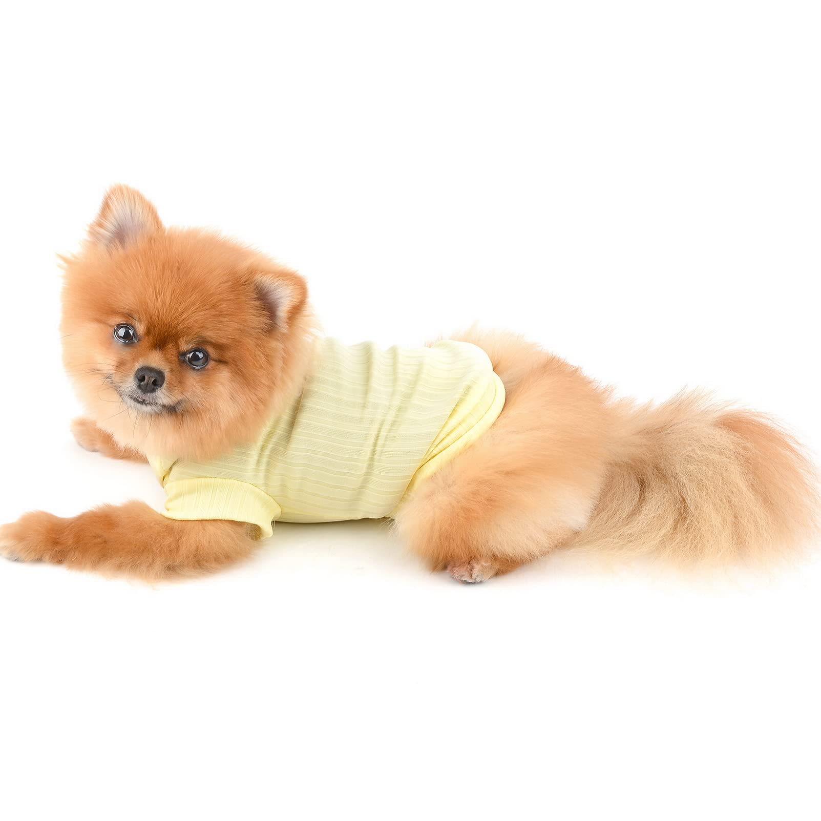 Je suis avec toi - Sweat à capuche de Poméranie V3 – Follus, image size:1603x1603