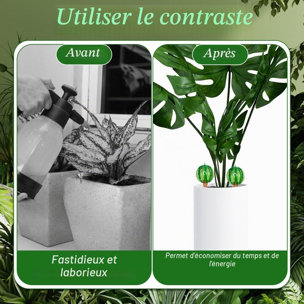 4 Pièce Arroseur Plante intérieur, Arroseur Automatique Plante intérieur | A Forma di Anguria, per lirrigazione Delle piante adatta a vari vasi (1 Pièce/500 ML)