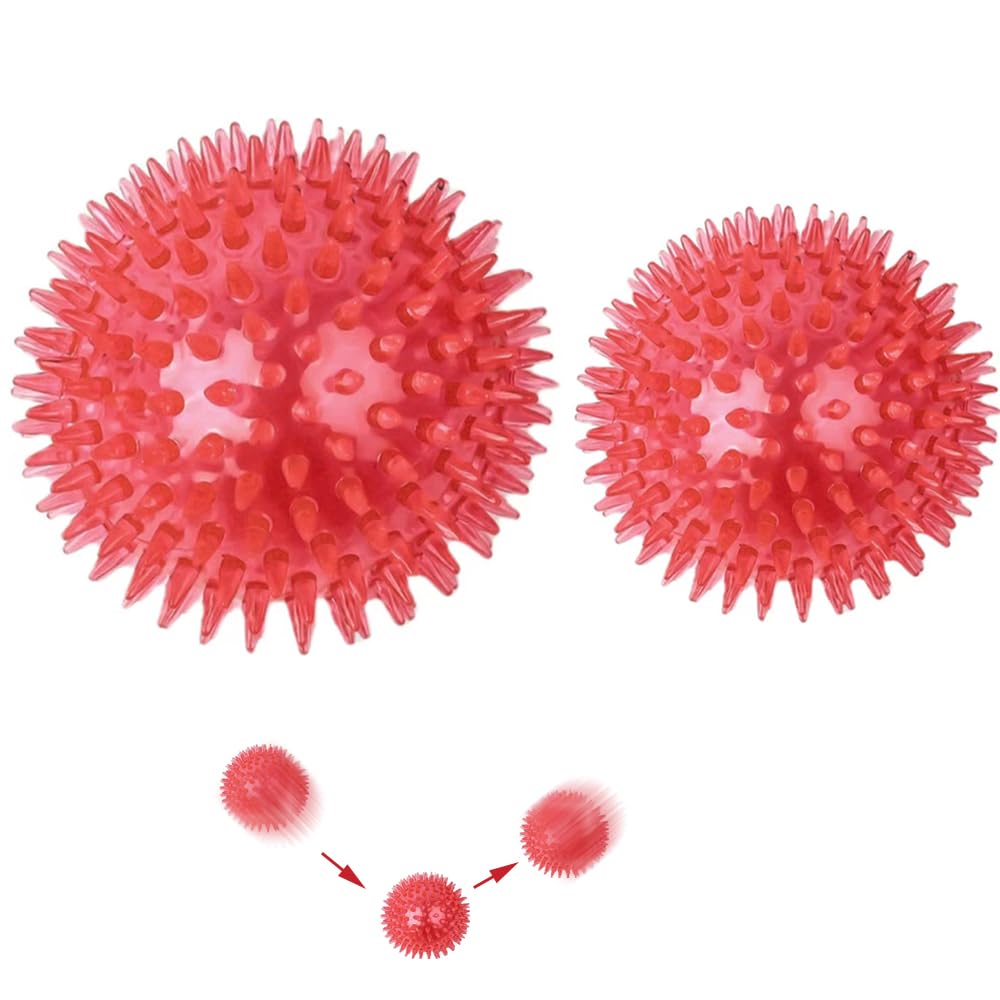 Squeaky Dog Toys Interactive Dog Toys with Sounds Two Sizes Cmbined Toy Ball A Ball Full of Bounce