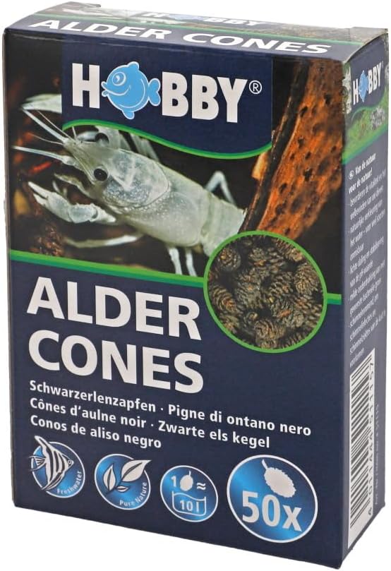 Hobby Alder Cones Pack Of 50