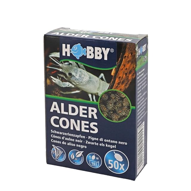 Hobby 51115 Alder Cones - Conos de Aliso