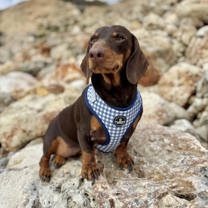 Arnés M Vaquero para Perro Ajustable de Neopreno - Diseño Vichy - 4 Tallas - Arnés Cómodo y Resistente para Perros