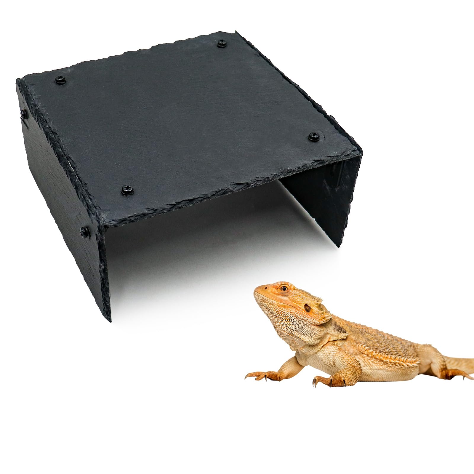 Accesorios para tanque de dragón barbudo, rocas de pizarra para reptiles, plataforma de dragón barbudo, piel de hábitat para dragones barbudos, tortuga, geco, serpiente y otros reptiles y anfibios