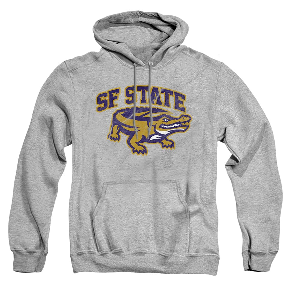 LOGOVISION Official Collegiate Distressed Primary Logo Adult Pullover Hoodie Collection — view 514