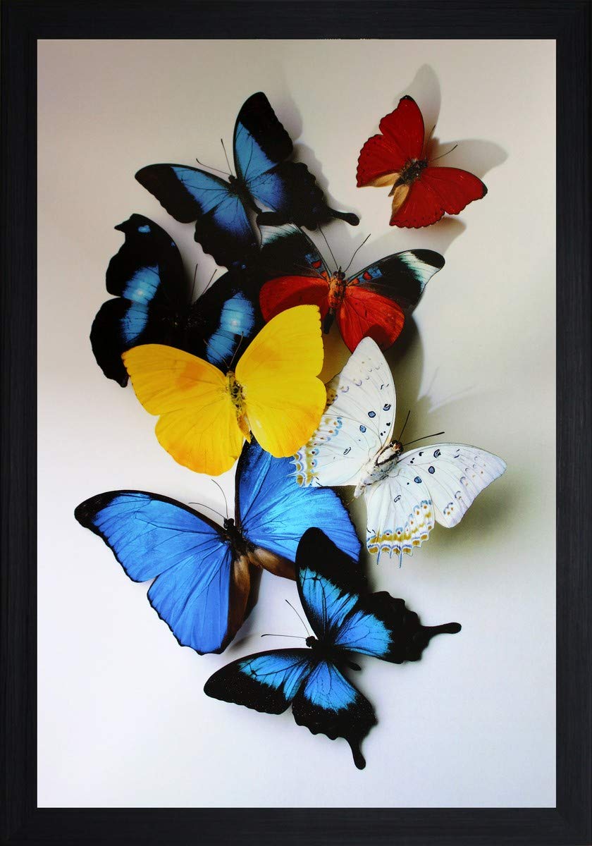 See full amazon price history chart for SAF paintings Butterfly Modern Art Sparkle Lamination Finished Surface Golden Slim Frame for Home Decor 13.5 inch x 19.5 inch SAF paintings Butterfly Modern Art Sparkle Lamination Finished Surface Golden Slim Frame for Home Decor 13.5 inch x 19.5 inch (B016N4745U) Amazon Price History, Amazon Price Tracker