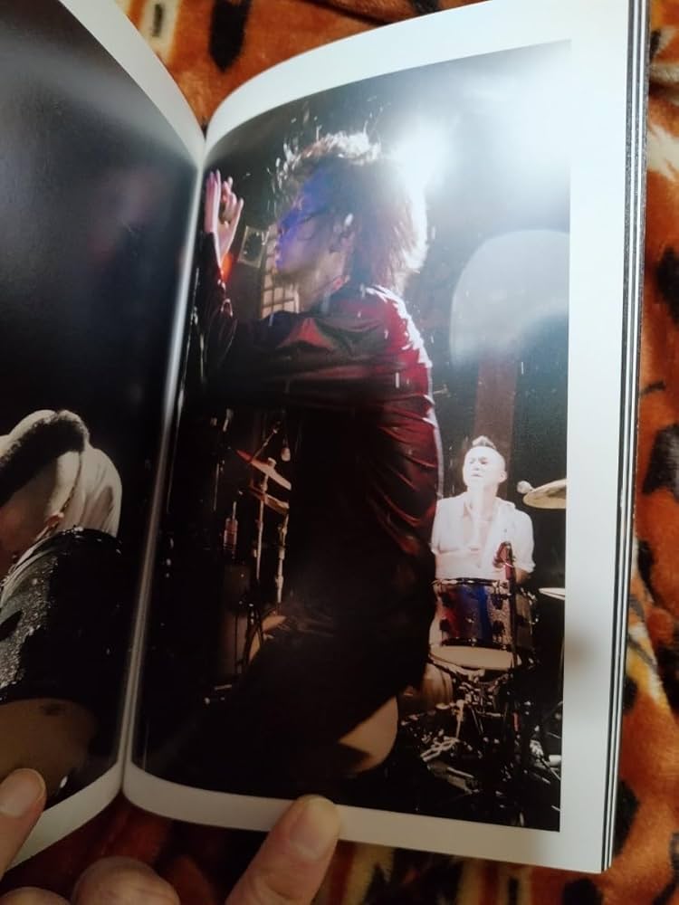 新品DVD Thee Michelle Gun Elephant BURNING Thee Michelle Gun Elephant - Burning Motors Go Last Heaven