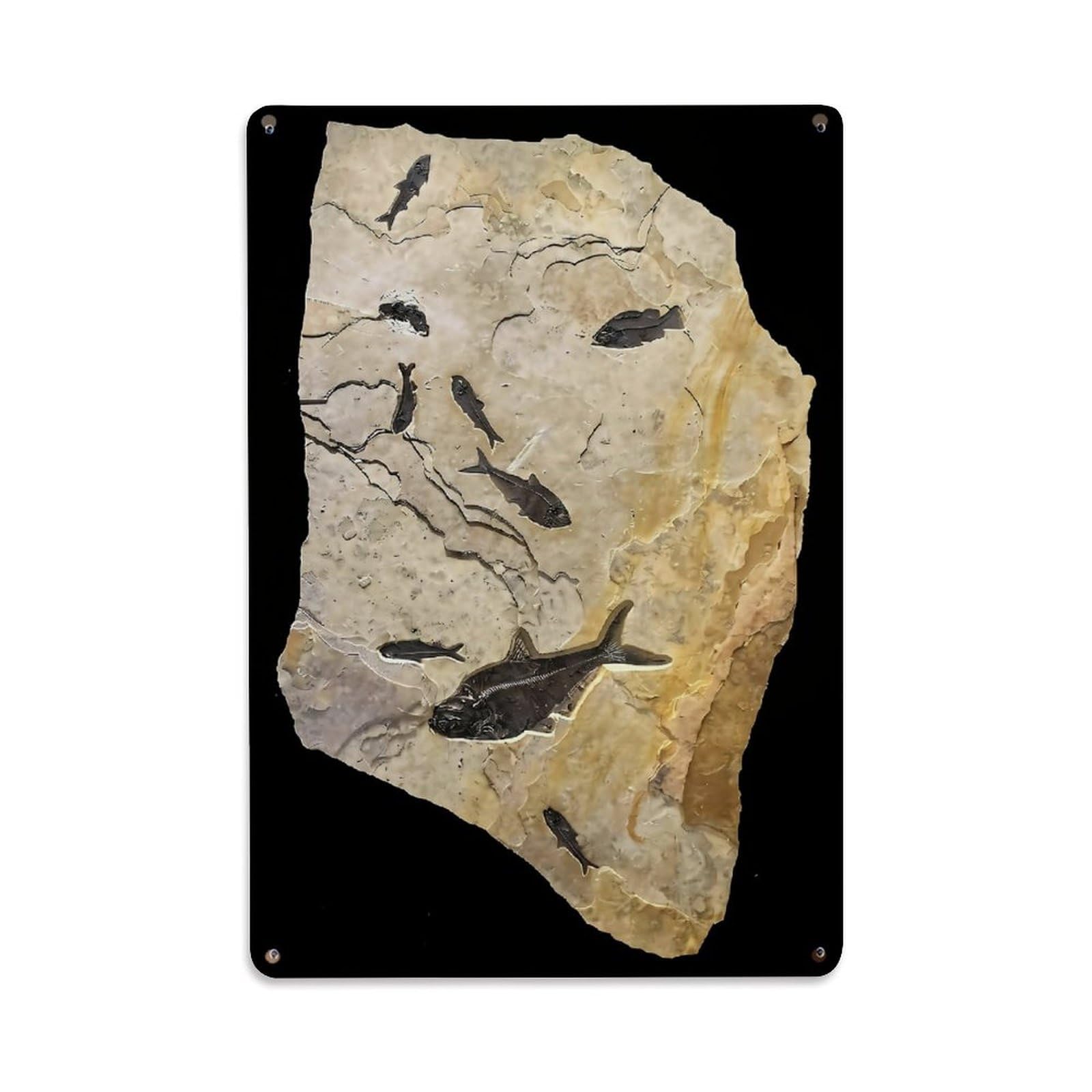 Nestemfo Vintage Fossil Fish Pattern On Stone Tin Sign Metal Sign, Living Room,Bar, Home, Bedroom Wall Decor,Retro Metal Poster 8X12 Inches