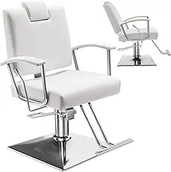 Apllamo Cadeira reclinável de barbeiro com encosto de cabeça - Bomba hidráulica resistente com altura ajustável, rotação de 360°, peso máximo de carga 200 libras, spa de salão, barbearia, cabeleireiro