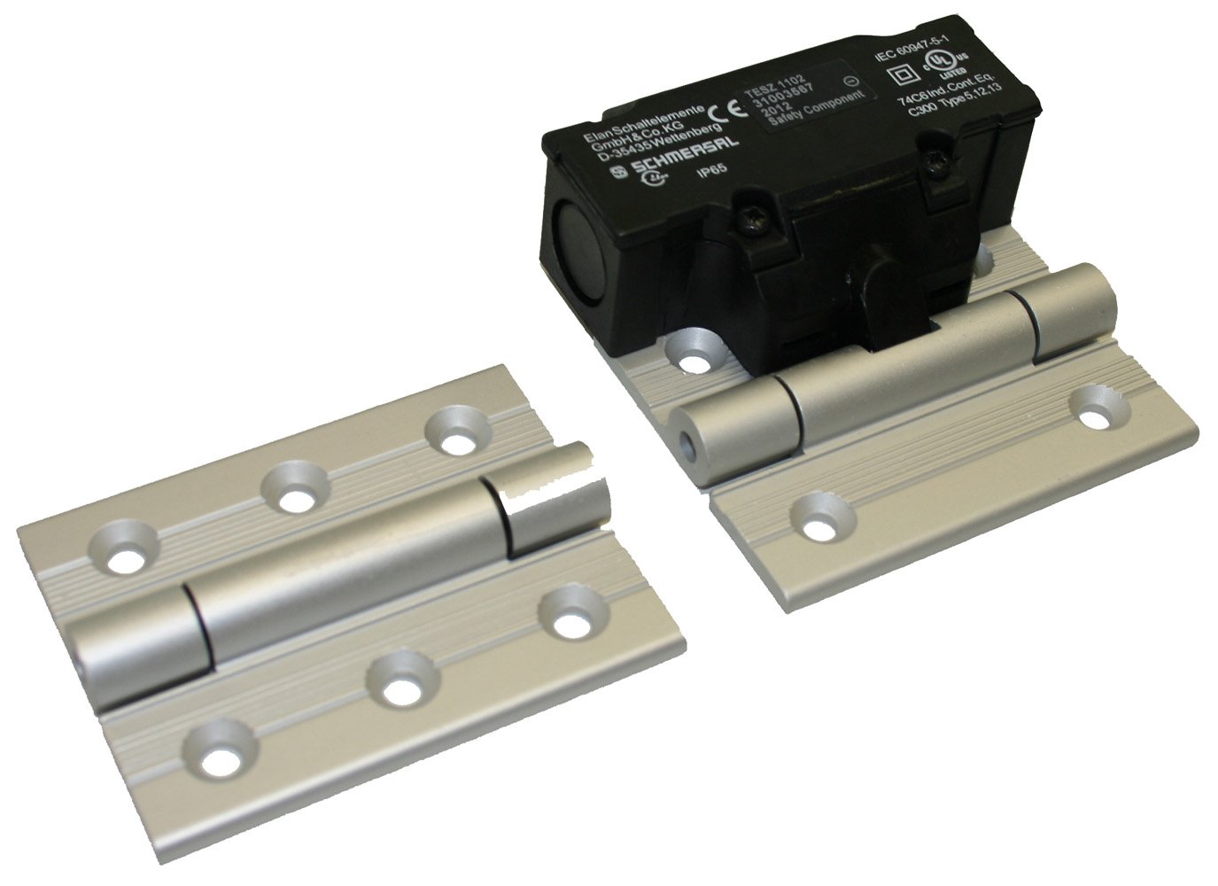 Faztek15 Series Schmersal Hinged Interlock Switch