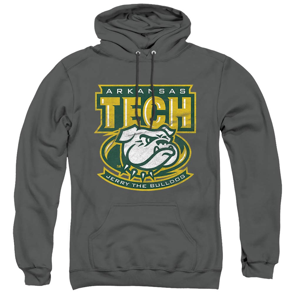 LOGOVISION Official Collegiate Distressed Primary Logo Adult Pullover Hoodie Collection — view 489
