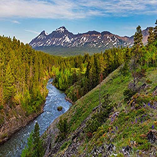Best Whitewater On The Clark Fork River