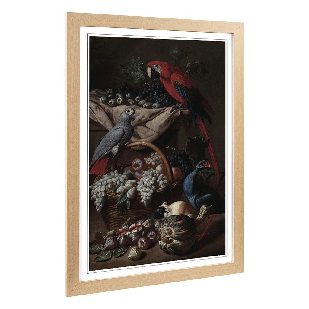 Big Box Art Framed Print of Melchior d'Hondecoeter Parrots Design | Wall Art Picture | Home Decor for Kitchen, Living, Dining Room, Bedroom, Hallway, Office, Oak, A2 / 24.5x18 Inch / 62x45cm