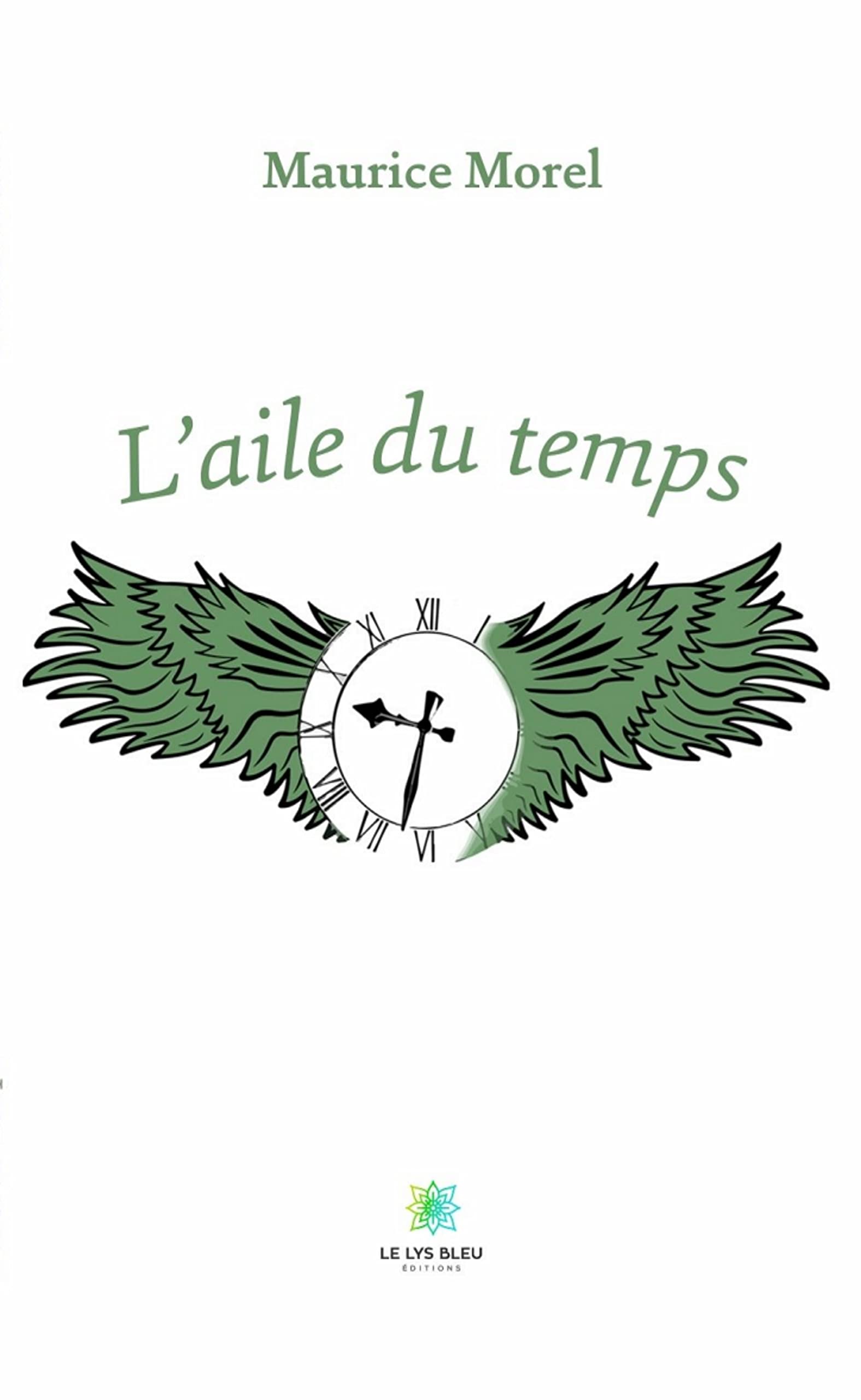 L’aile du temps (French Edition)