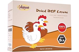 Adaman Dried BSF Larvae Treats-Nature's Protein-Rich Health Food for Chickens