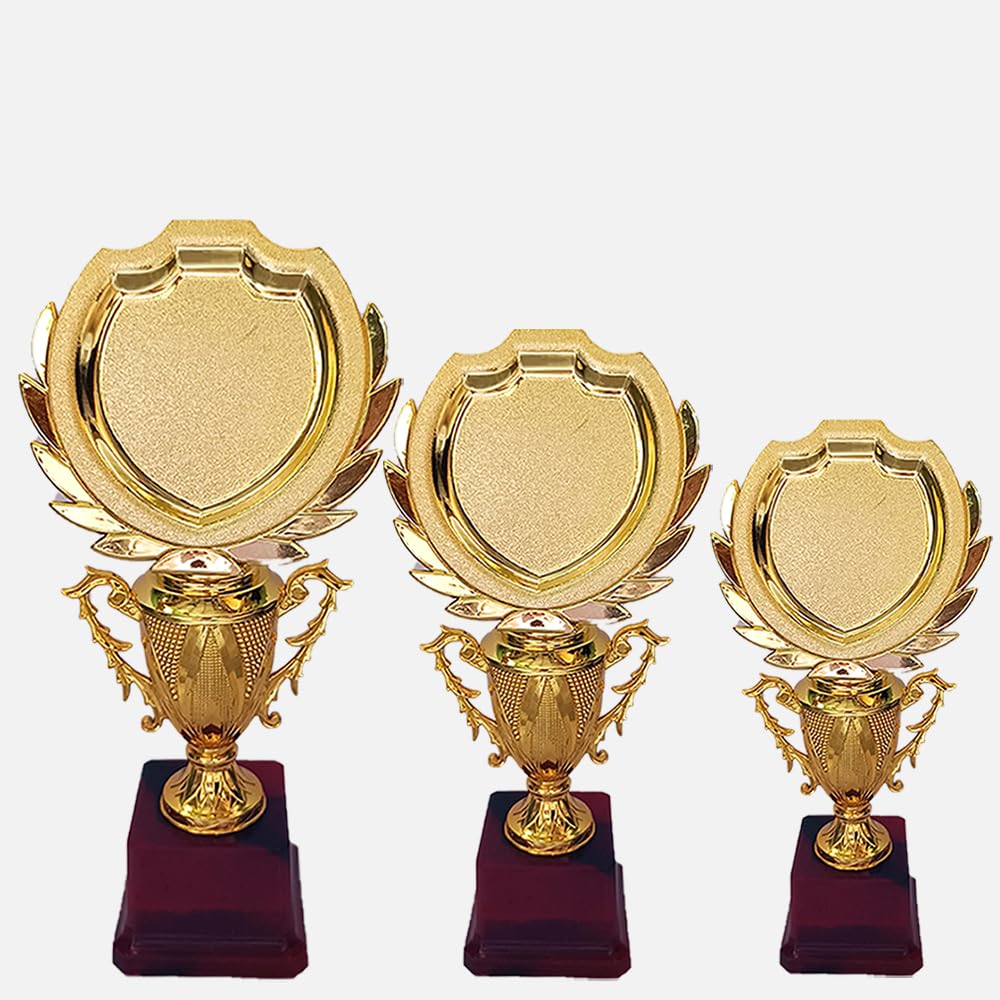 Breeze Pure Golden Trophy Set of Three for Any Event Such as School Function Trophy, Office Events College Event, Cricket Tournaments and Sports Events (B0CPBZNC1S) Amazon Price History, Amazon Price Tracker