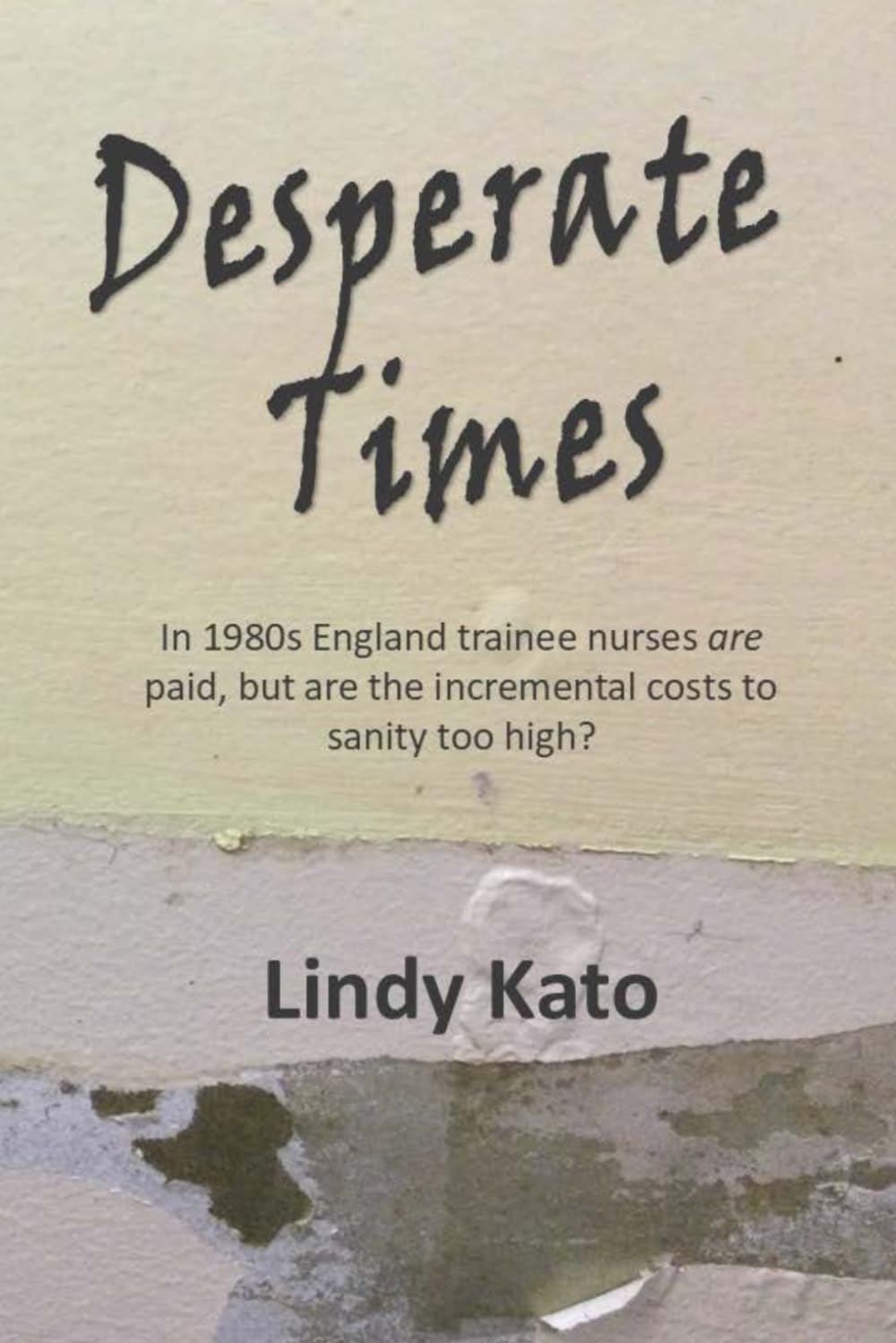 Desperate Times (The Fall and Rise of Lindy Kato - a true story)