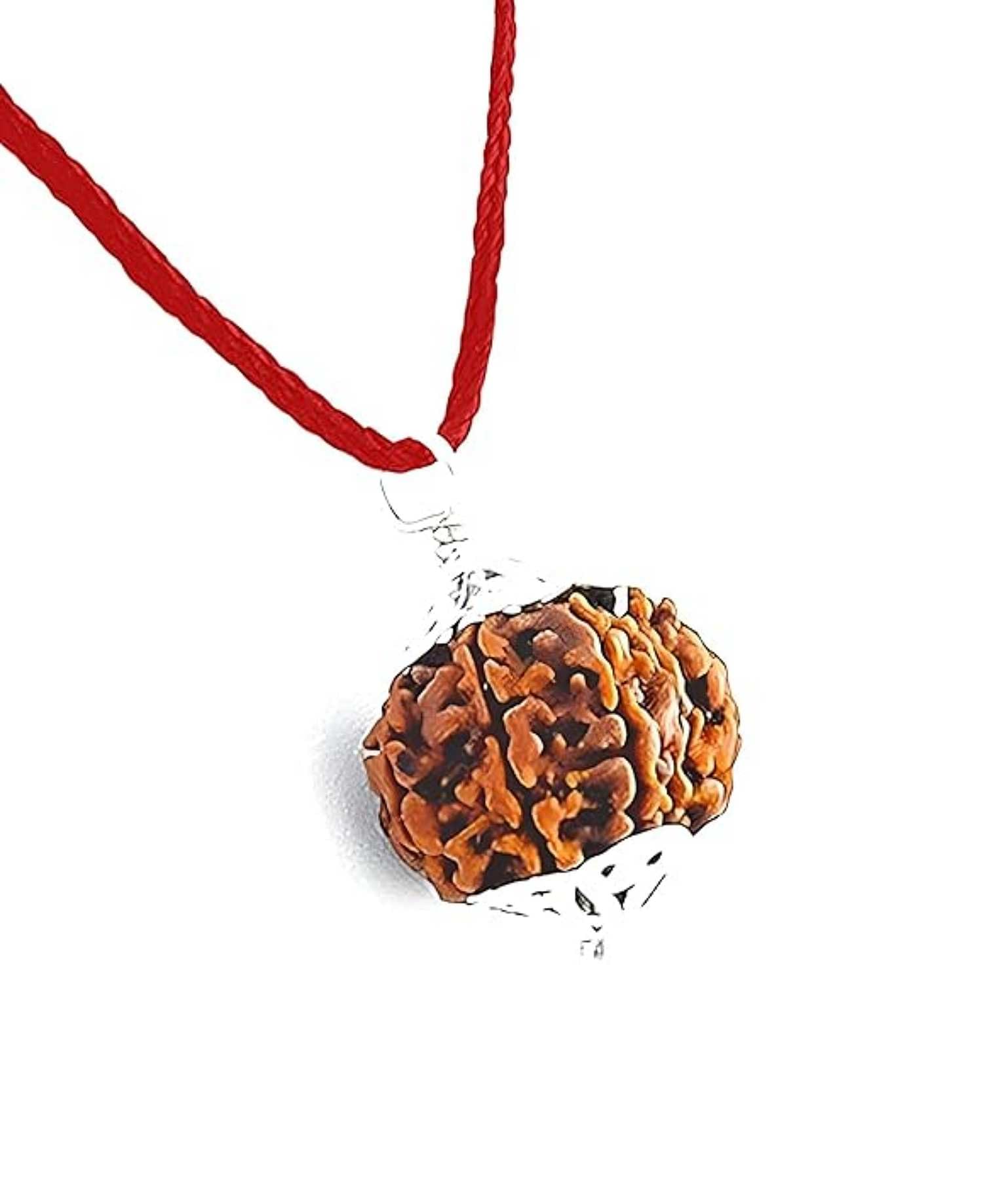 8 Mukhi Rudraksha Original Certified Nepali Big Size Capping 23mm Red Dhaga Dori Original 8 Mukhi Nepali 8 Face Blessed by Lord Indra 8 Mukhi-image-17