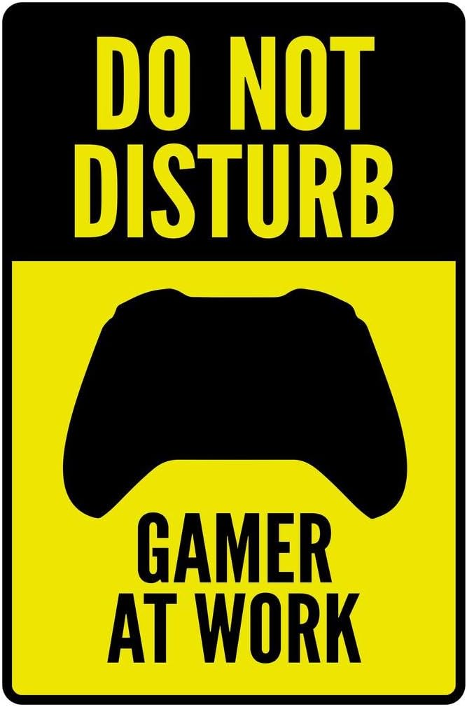 Warning Do Not Disturb Gamer At Work Controller I Video gaming Cool Wall Art Print Poster 24x36
