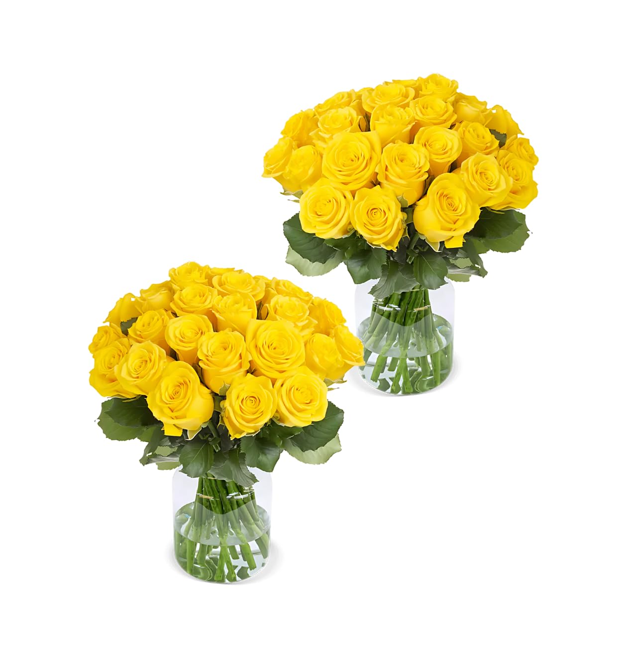 Blume Ideal Rosenstrauß - Rosen in verschiedenen Farben und Mengen - Ø 40–50 cm - Echte premium Blumen für Hochzeit & Deko - 7 Tage Frischegarantie