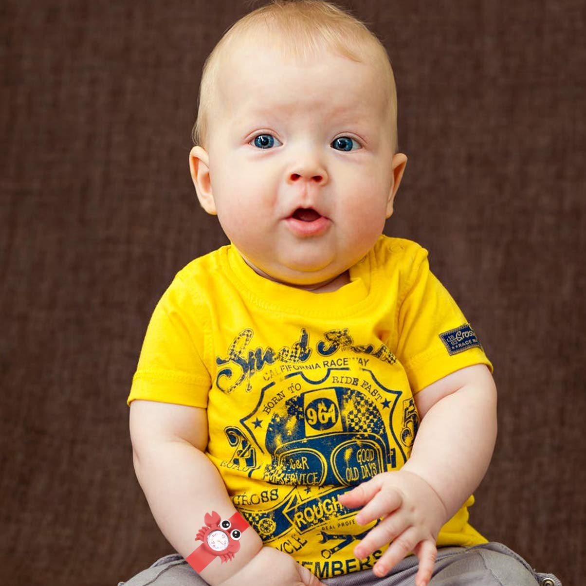 Hemobllo 2pcs Animal Cartoon Boy Girl Watch Creative Boy Girl Wristwatches Red Crab Turtle for Birthday Comfortable for Everyday Wear