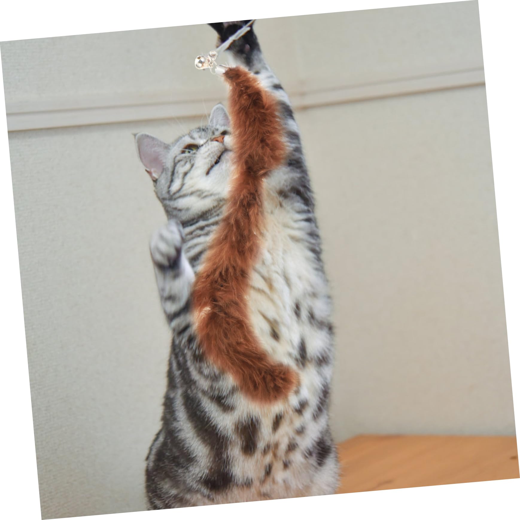 POPETPOP Lot De 4 Jouets Interactifs pour Chats en Peluche pour Jouer Seul 6 Pièces X 4