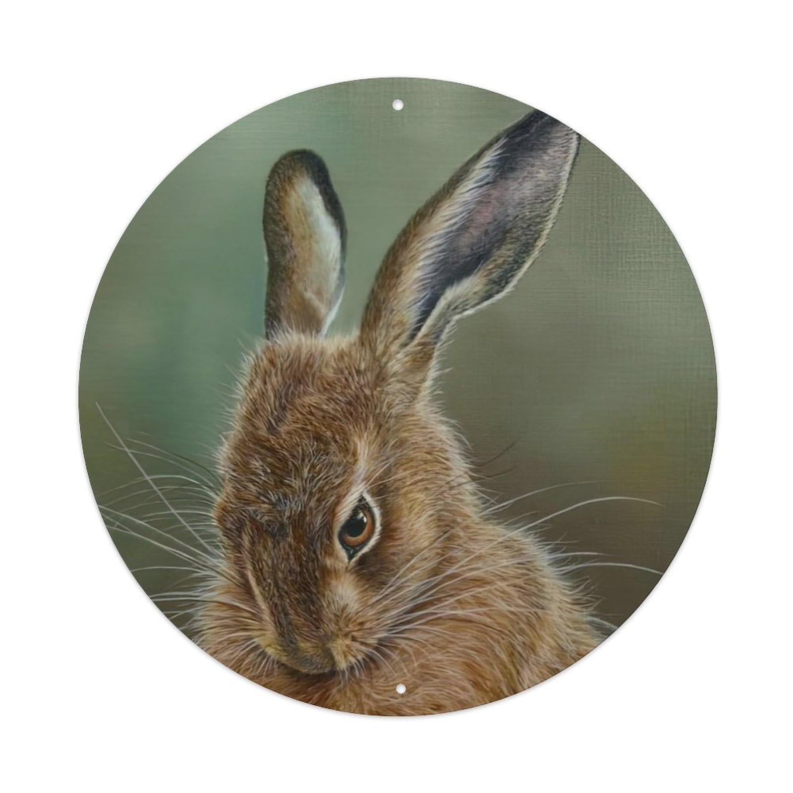 Animal Artwork Summer Hare Vintage Metal Tin Sign Plaque Wall Decor for Cafe, Club Bar, Office, Garden Metal Poster 8x8Inch
