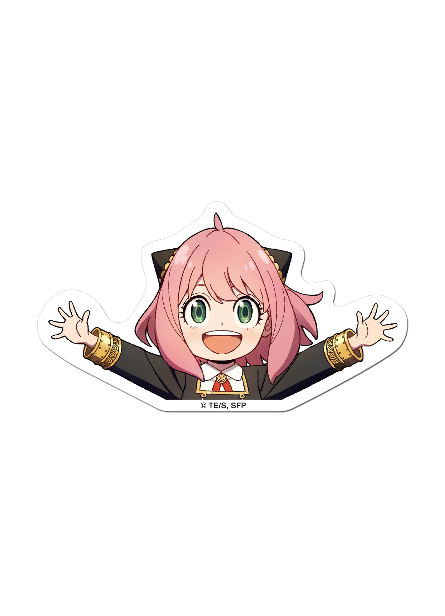 Amazon.com: Spy X Family - Anya Car Sticker 6.7