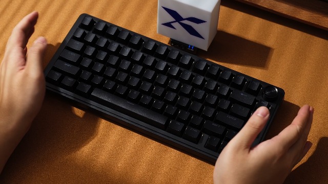 Amazon.com: SDYZ x XVX Doubleshot PBT Keycaps 60 75 100 Percent