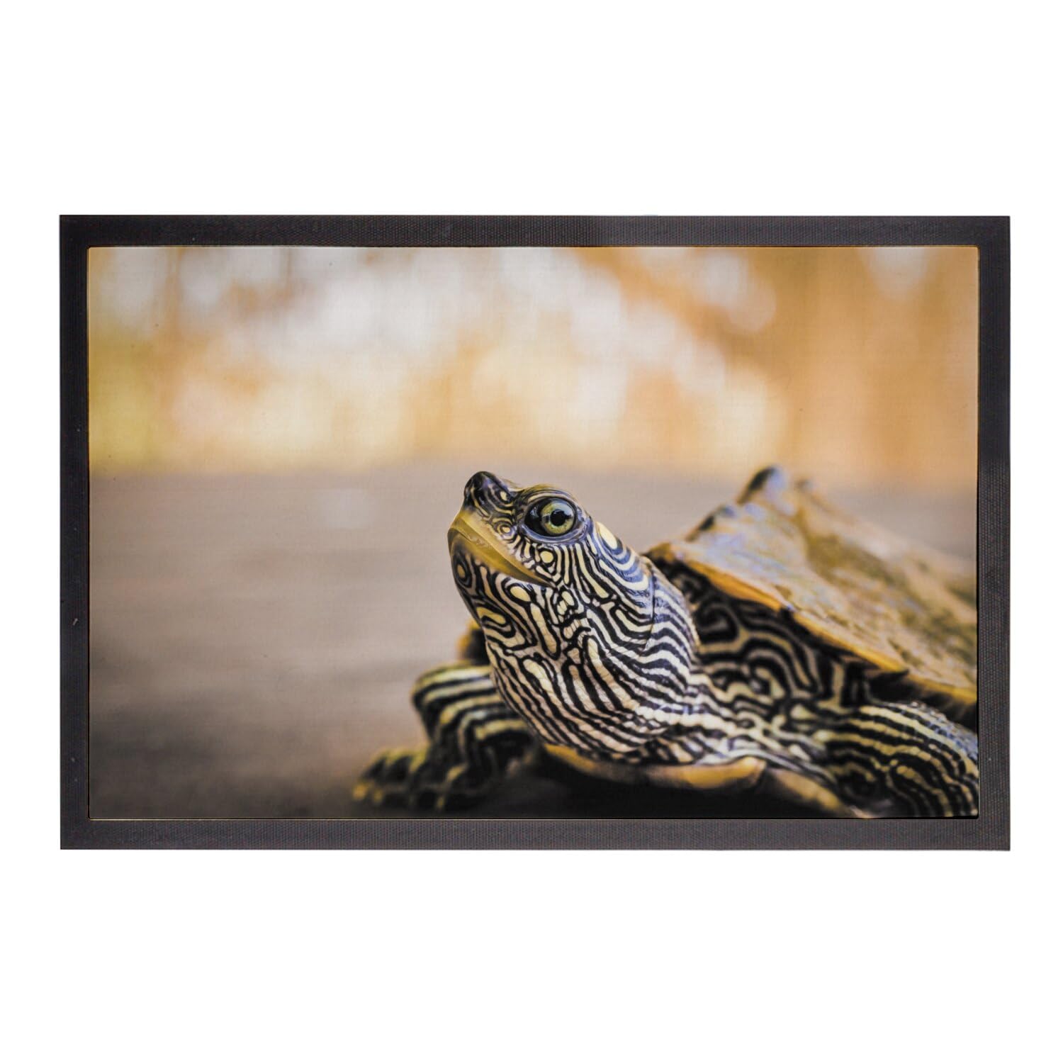 Paillasson Tortue Photo Gros Plan Haute Définition Tapis Entrée 75x50cm