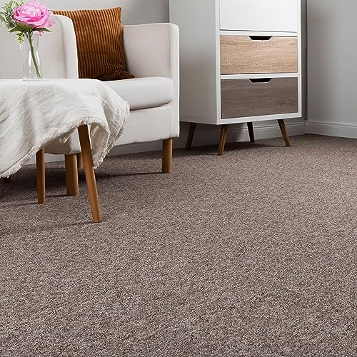 Steffensmeier Schlingen Teppichboden Meddon XL Meterware | Auslegware für Flur Büro | 1m 2m 3m 4m 5m breit! | Sand, Größe: 100x300 cm