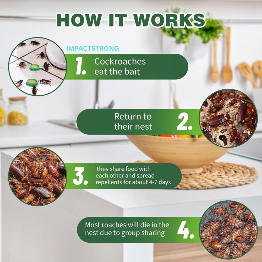12 pcs Natural Cockroaches Killer for Kitchens Bathrooms Cabinets cockroachs Killer Gel Roach Repellent for Cockroaches for Indoor Cockroach Control Insect Control (12) - Image 6 thumbnail