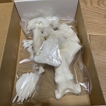 Stepgirl-FOX 産婦人科M レジンキット ガレージキット Stepgirl-FOX 産婦人科M レジンキット ガレージキットの通販 by