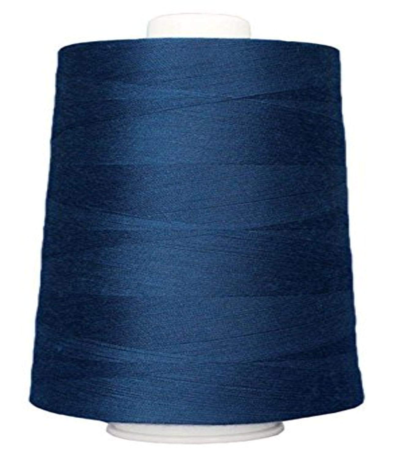 Superior Threads Omni 40-Weight Polyester Sewing Quilting Thread Cone 6000 Yard (# 3106 Bora Bora)