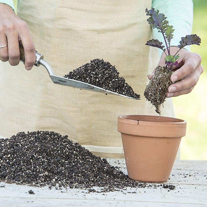 Buy Garden Art Premium Natural 5 kg Earth Magic Ready to UseAll